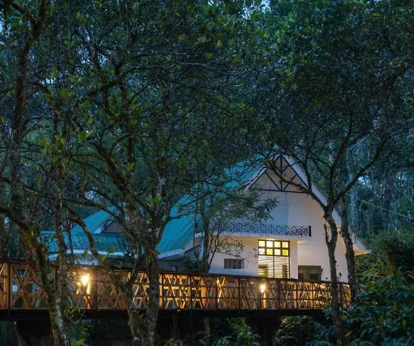 Reen Resorts Aanavilasam Plantation Thekkady