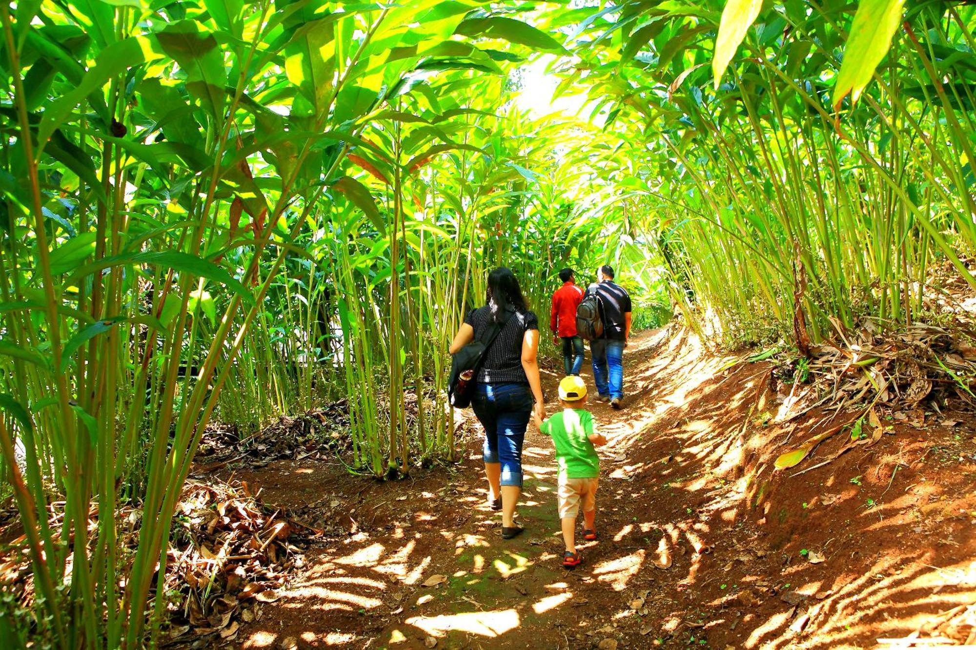 Reen Aanavilasam Plantation Thekkady
